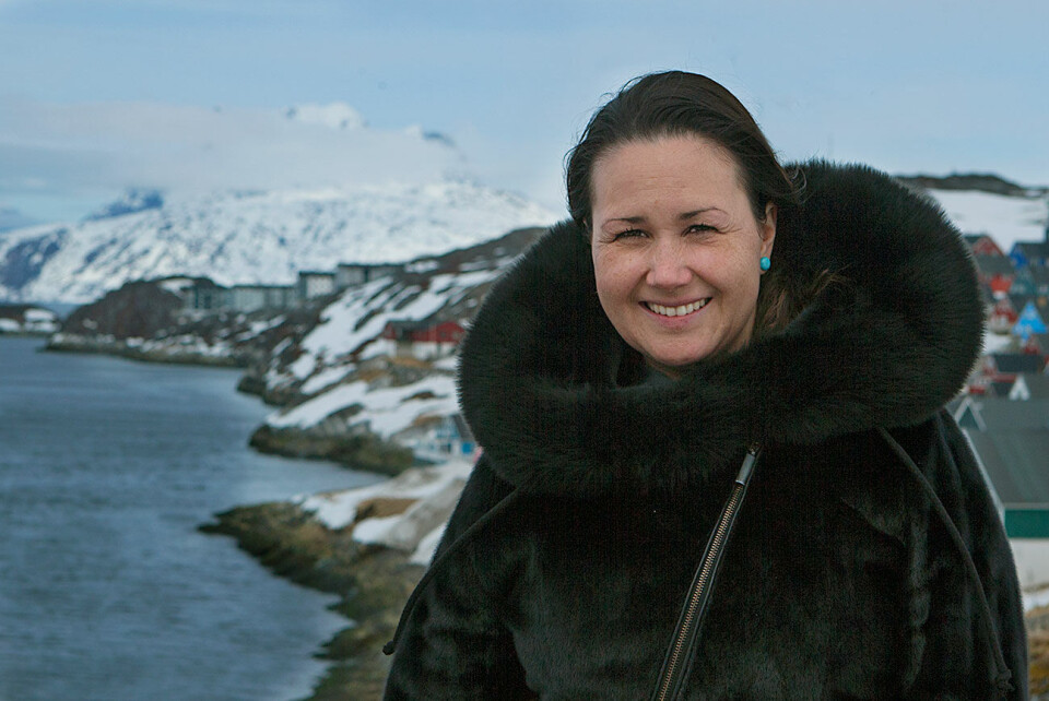 Det er lykkedes Aaja Chemnitz Larsen at få plads i Forsvarsudvalget, Retsudvalget og Grønlandsudvalget. Herudover har Inuit Ataqatigiit fået stedfortræderpost i Udenrigspolitisk Nævn, Nordisk Råd og Europarådet Aaja Chemintz Larsen, IA