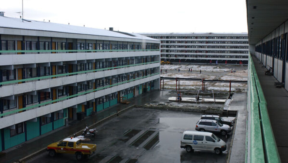 Det er aldrig blevet undersøgt, hvordan PCB fra bygninger påvirker os i Grønland. Foto: Leiff Josefsen.