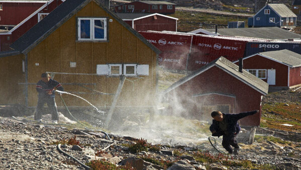 Det er meget fredeligt i Illoqqortoormiut i disse dage bortset fra en episode med en isbjørn, der kom for tæt på byen for to uger siden. Foto: Polfoto