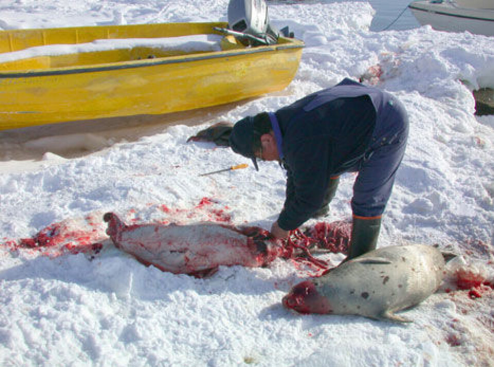 Foto: Sermitsiaq