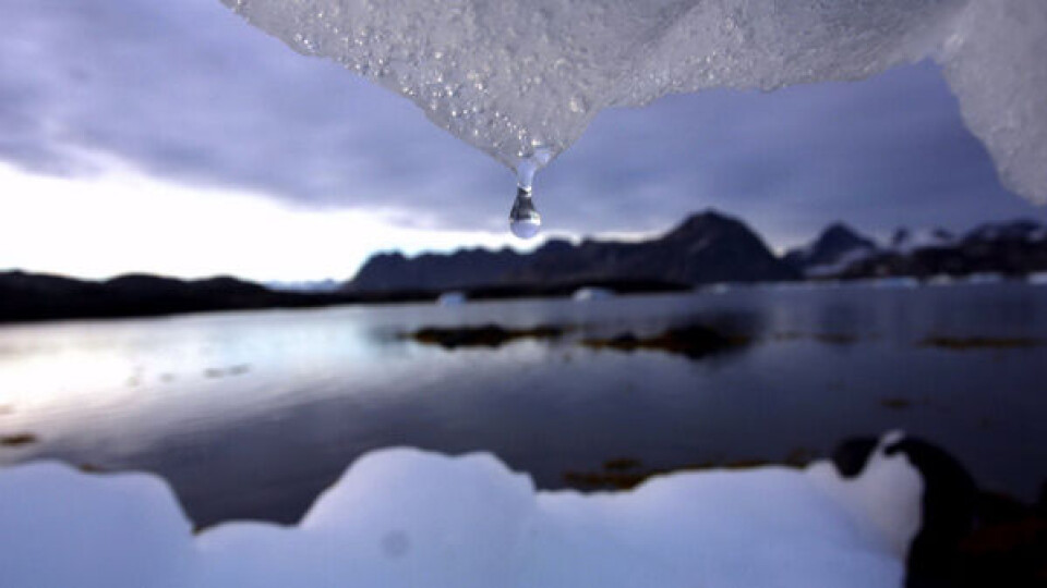 Foto: Sermitsiaq.AG