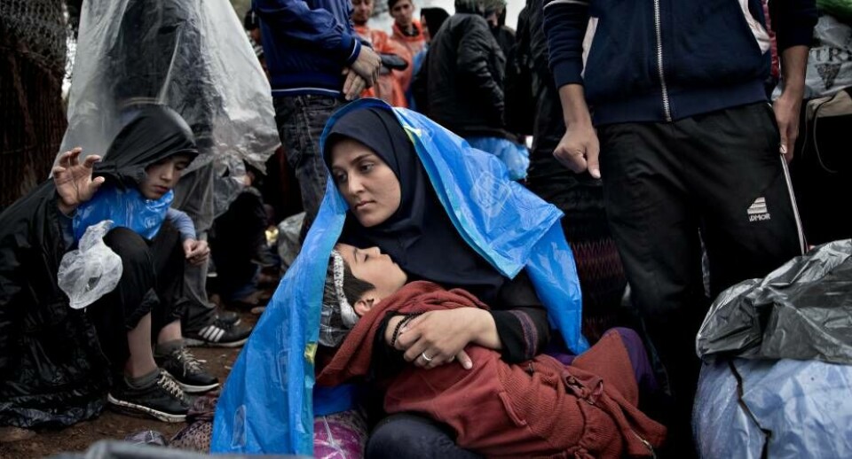 Langt fra alle flygtninge kommer til Europa sammen med deres familier.