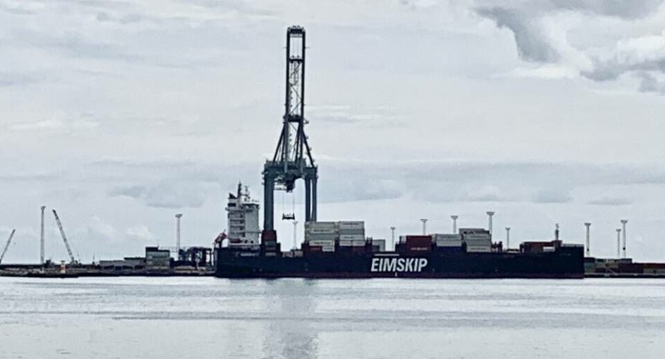 Eimskips nye containerskib, Dettifoss, indgår nu i samsejlingsplanen med Royal Arctic Line. Her ses den i havnen i Aarhus torsdag, hvor den blev lastet.
