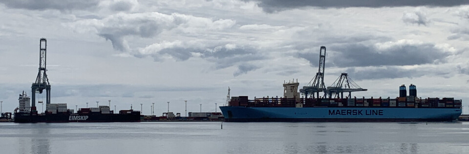 Eimskips nye containerskib, der er på størrelse med RALs nye flagskib, syner ikke meget ved siden af Maersk-skibet