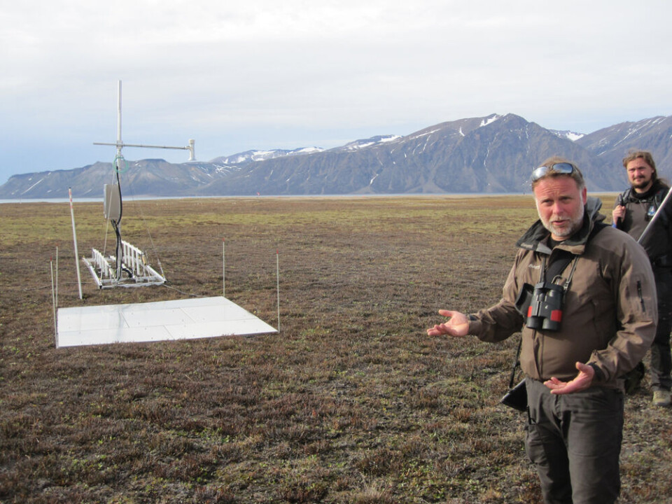 Niels Martin Schmidt, videnskabelig leder, Forskningsstation, Zackenberg