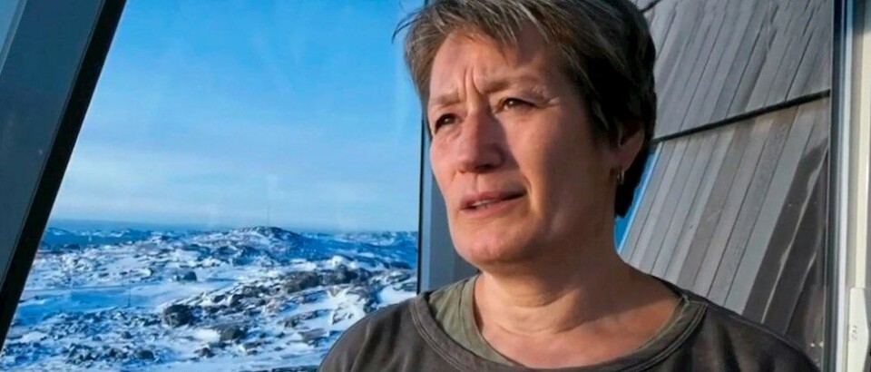 Josephines Nymand har været afdelingschef for Miljø og Råstoffer i Pinngortitaleriffik siden 2014.