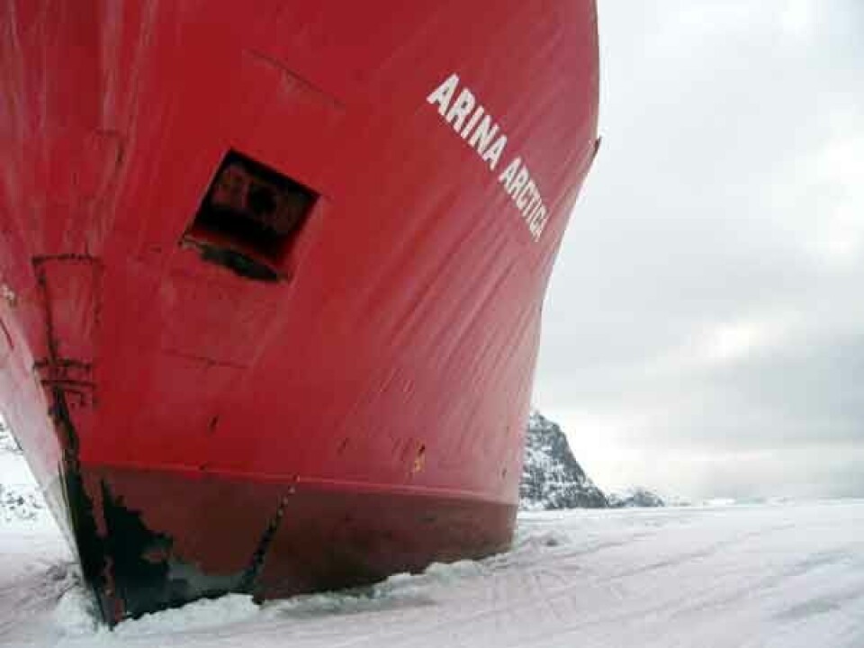Arina Arctica annaassiniaqataavoq