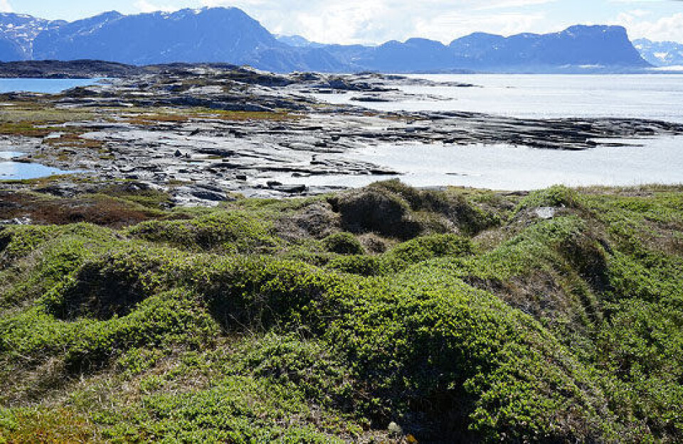 Qeqqata Kommunia hædres med Rauma-prisen 2025