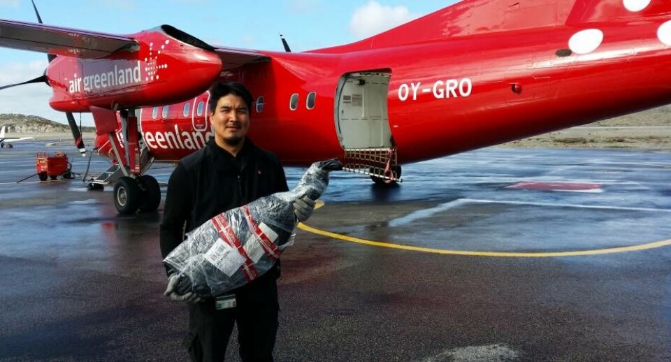 Air Greenland har et nyt fragtprodukt til sine privatkunder