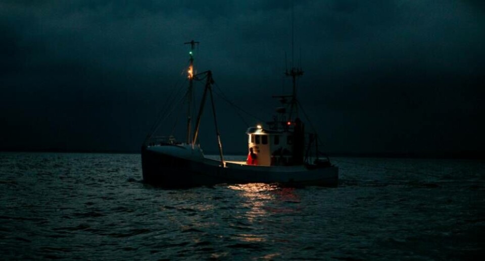 Danske fiskere smider ulovligt tonsvis af torsk ud i havet
