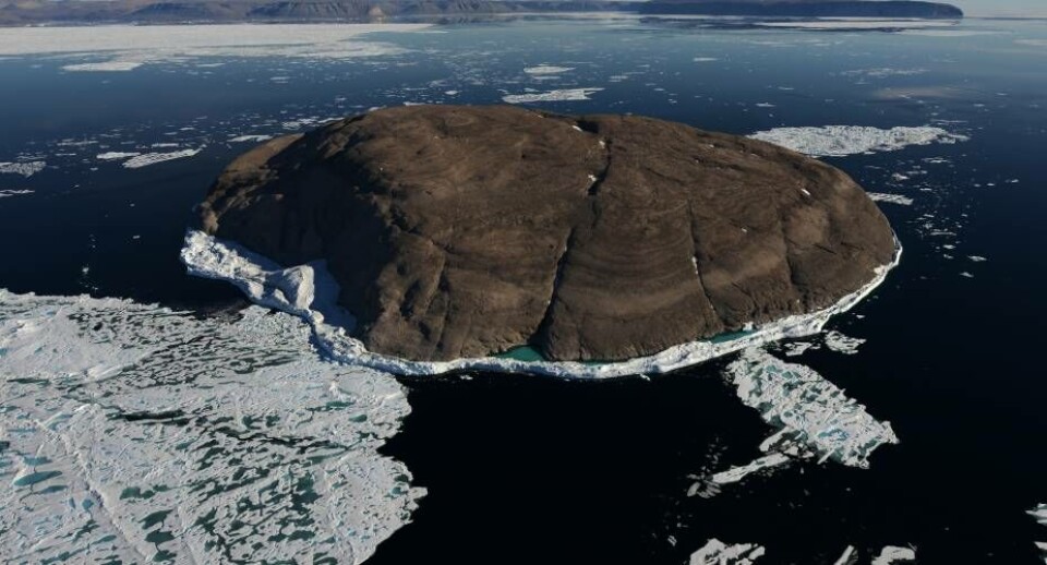 Øen Tartupaluk eller Hans Ø nord for Grønland har i årevis været genstand for ballade. Men i år blev Canada og Danmark/Grønland endelig enige om at dele øen.