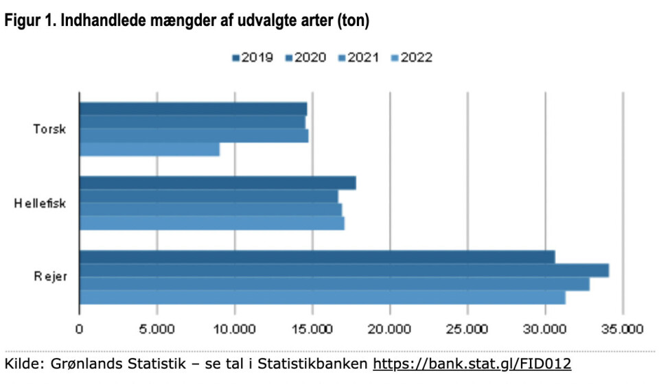 Indhandlingen af torsk i stort fald