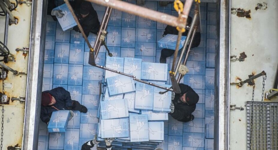 Ejerne af Polar Seafood bliver mere og mere grå i toppen. Og et generationsskifte er således på vej. Men selskabet er ikke blevet solgt til islandske interesser, understreger ejerne. Foto af lodsning af Polar Seafood-rejer