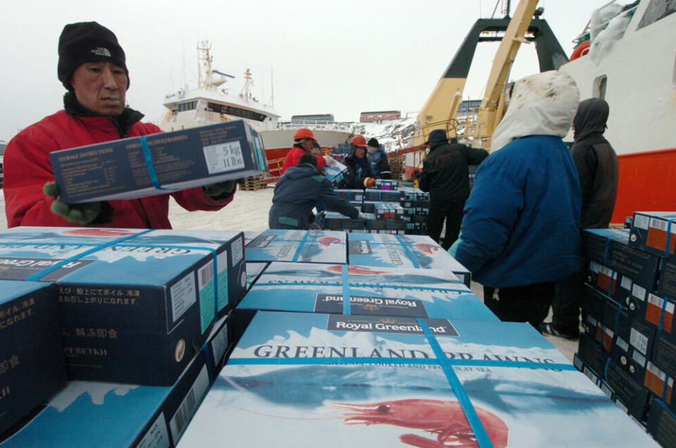 Royal Greenland er et ud af flere selvstyreejede selskaber, som samlet set forventes at levere et langt større afkast i de kommende år. Rejer, rejekasser, Royal Greenland