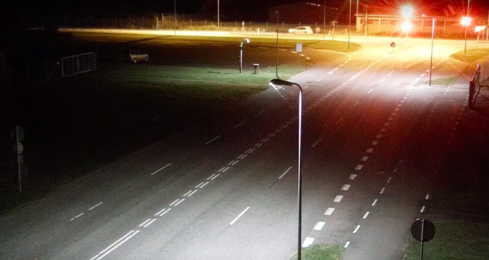 50 nye tip om flugtbilist