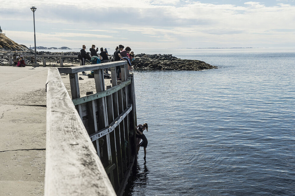 Det nye projekt skal ligge nær Kolonihavnen.