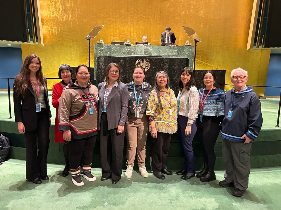 Medlemmer af UNPFII: Aluki Kotierk, Tove Søvndal Gant samt assistent Betina Berthelsen, ICCs forkvinde Sara Olsvig, derudover ICC delegerede: Siksik Melodie Lavallee, Eelai Uniuqsaraq, Alexina Kublu, Nicole Amagoalik og Piita Irniq.