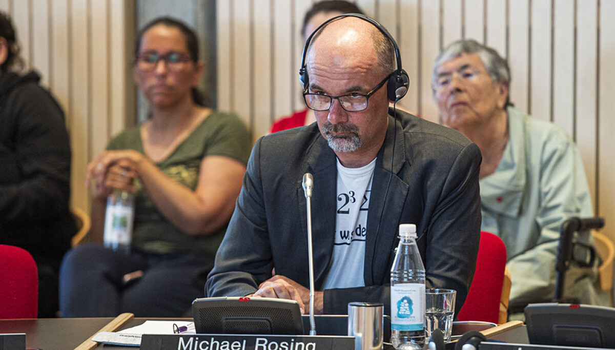 Michael Rosing stopper i politik