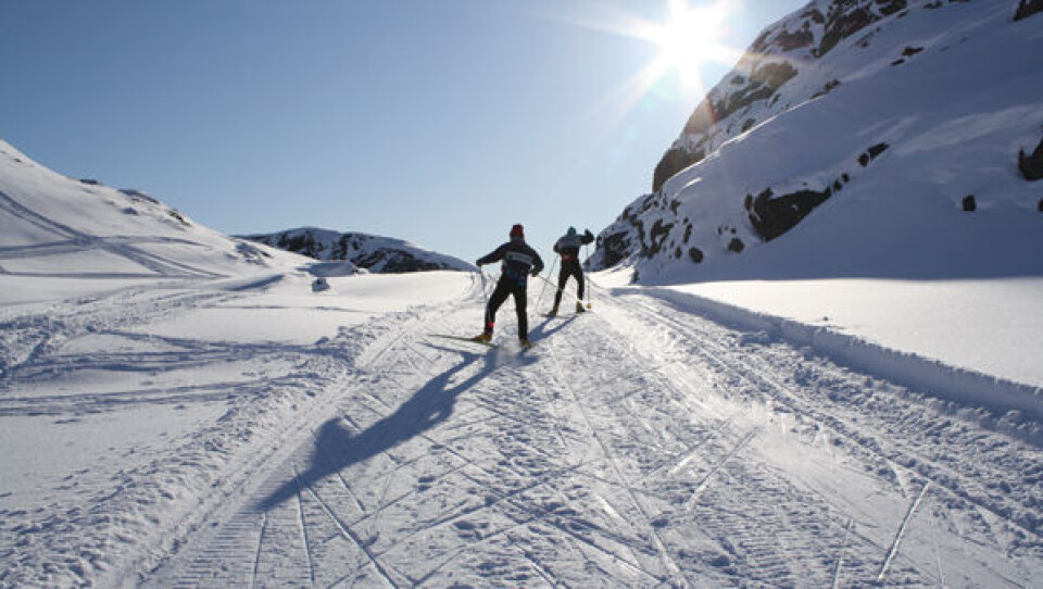 Løjpen i Maniitsoq har gode sneforhold. Foto: Flemming Enequist