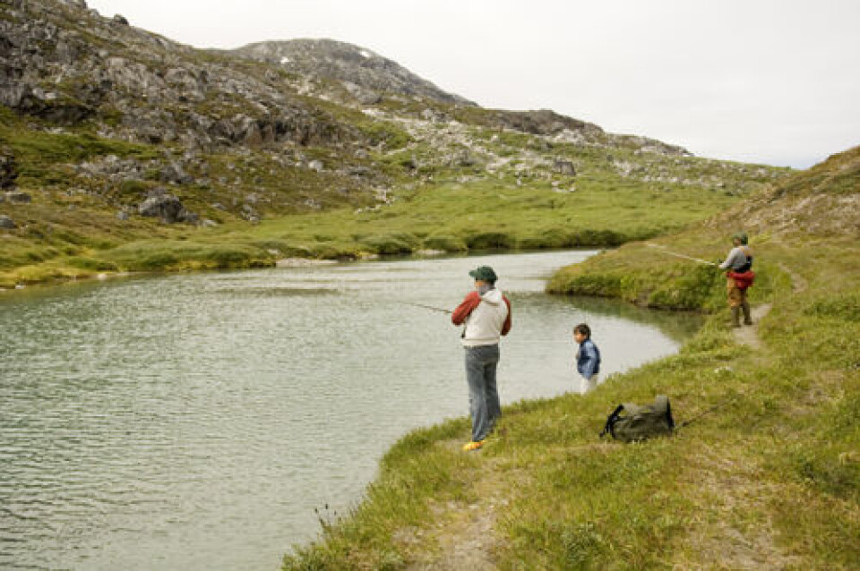 Turister får nedslag