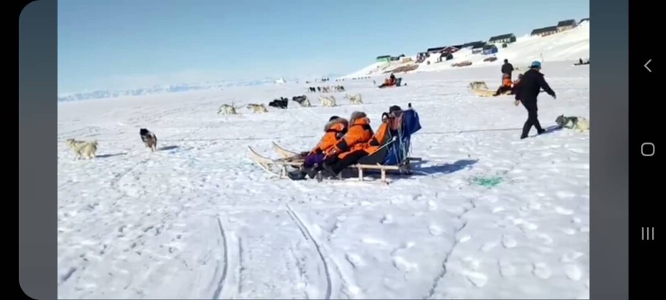 Turisterne tilbydes slædeture i Ittoqqortoormiit.