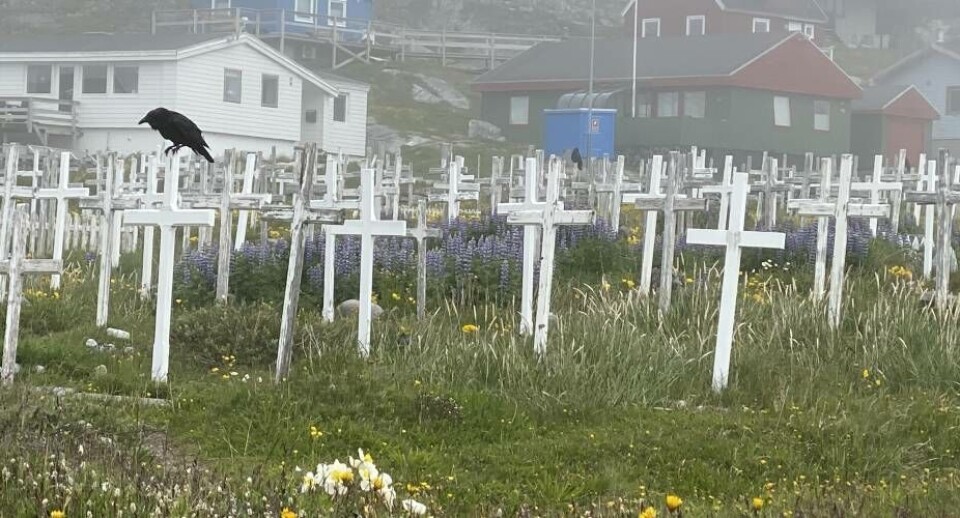 Dødsattesten skrives kun på dansk, da der ikke er plads til grønlandsk. Det skal rettes op på, mener ordfører for sproget i Siumuts Inatsisartutgruppe.