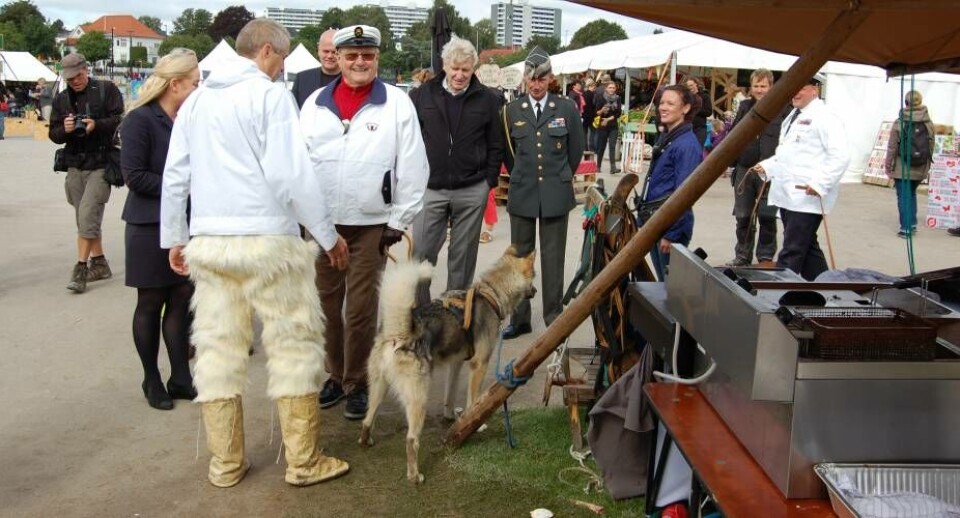 Prins Henrik hilser på slædehund - og direktør for Det Grønlandske Hus i Aarhus, Jørn Holbech Det Grønlandske Hus i AarhusFrivillige på arbejde under festivalen Det Grønlandske Hus i AarhusMaik Carretero fra Greenland Ice Det Grønlandske Hus i AarhusKokken Aage Lennert Olsen omgivet af frivillige Det Grønlandske Hus i AarhusPrins Henrik hilser på slædehund - og direktør for Det Grønlandske Hus i Aarhus, Jørn Holbech Det Grønlandske Hus i AarhusFrivillige på arbejde under festivalen Det Grønlandske Hus i AarhusMaik Carretero fra Greenland Ice Det Grønlandske Hus i AarhusKokken Aage Lennert Olsen omgivet af frivillige Det Grønlandske Hus i Aarhus