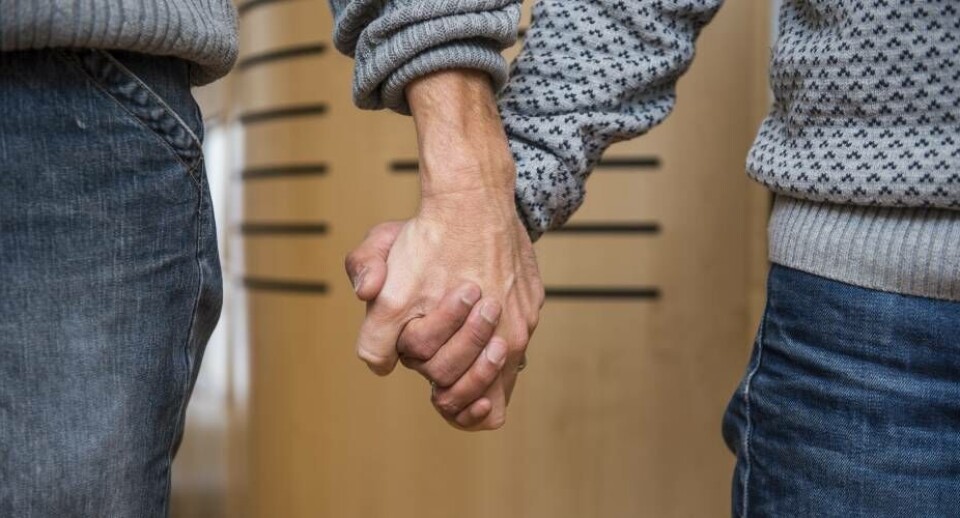 Ligestillingsrådet har fået ny formand