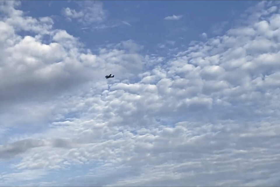 Det lille fly fløj i cirkler i området over Tupelo, viser overvågning. Det landede senere på en mark.