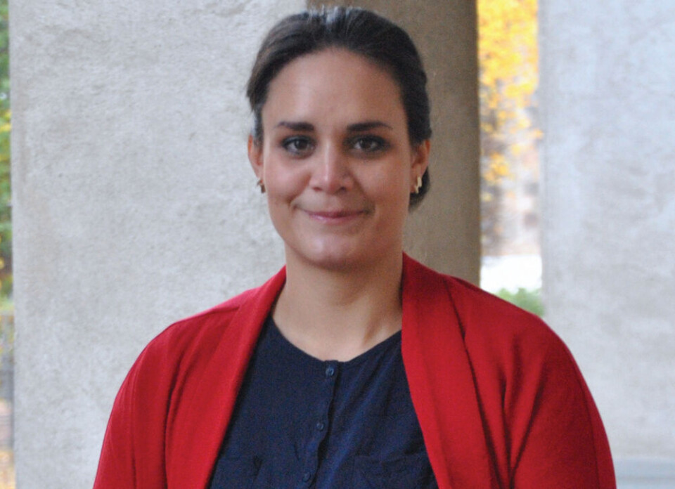 Julie Rademachers undersøgelser ved valget i 2013 viser, at vælgerne fokuserede lige så meget på økonomi og andre vigtige lokale forhold, som de gør i år. Julie Rademacher, 2014