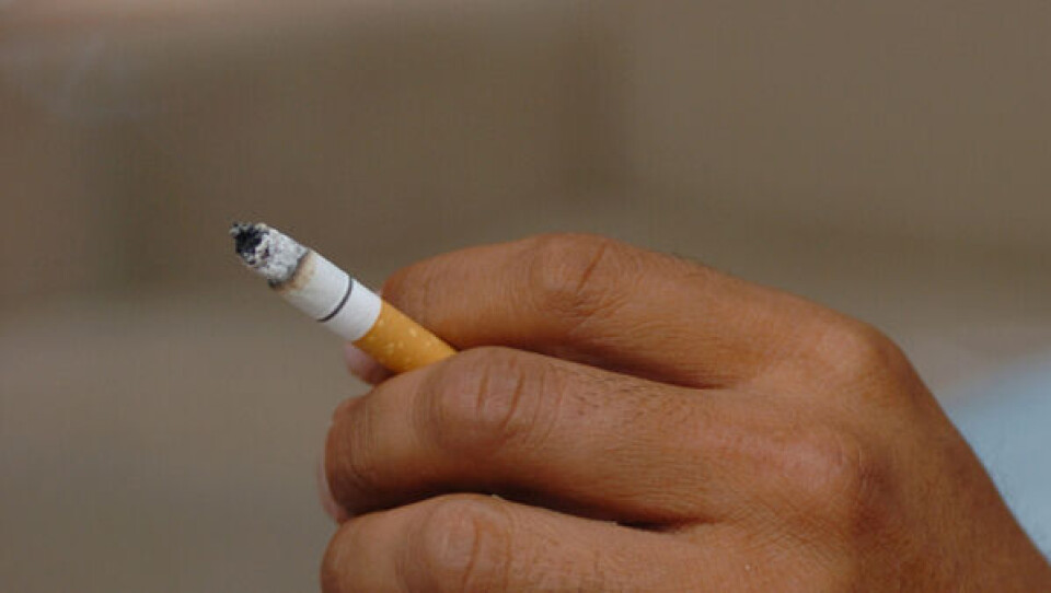 Ansatte i Odense Kommune står for at skulle kvitte cigaretterne i arbejdstiden. Foto: Leiff Josefsen