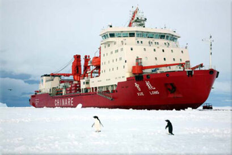 En af verdens største isbrydere, Xue Long, vil sejle gennem Nordvestpassagen til sommer. Foto: Newseal