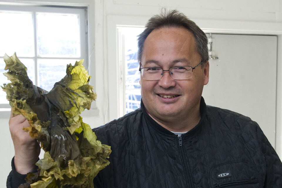 Palle Jerimiassen bliver borgmester i Qaasuitsoq Avannarleq