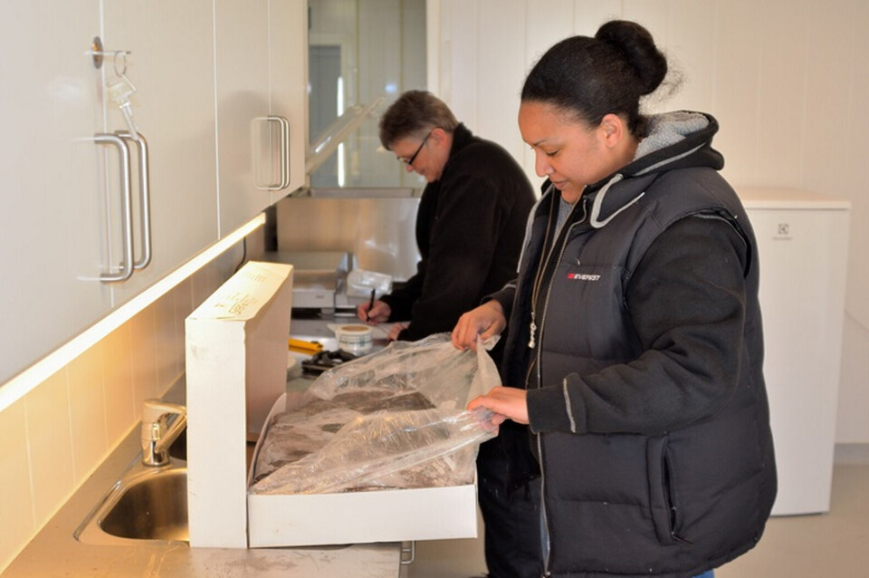På billedet ses to medarbejdere fra Danmarks Fødevareministeriet, som er i gang med at undersøge landet hellefisk fra en canadisk fiskefartøj Nanoq.glLandet hellefisk i pakker tælles af en medarbejder fra Veterinær og Fødevare Myndigheden i Grønland Nanoq.glDer bliver lavet fysisk kontrol af fiskevarerne på stikprøvebasis. Der tager man for eksempel 10 pakker fiskevarer og undersøger for temperatur, udseende, lugt og smag Nanoq.gl Nanoq.gl