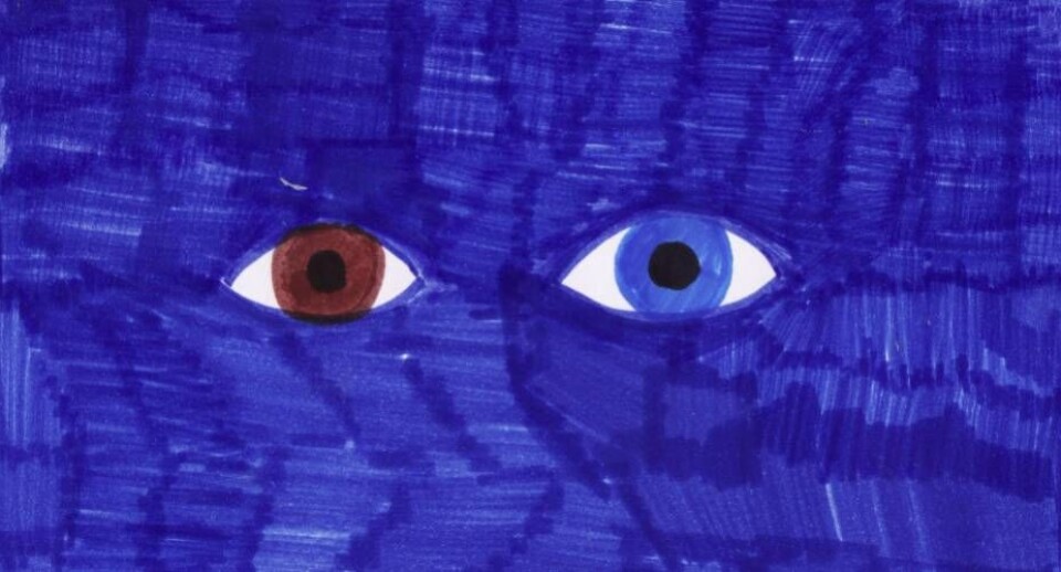 Kunstprojekt: Nyt flag til Holms Hus