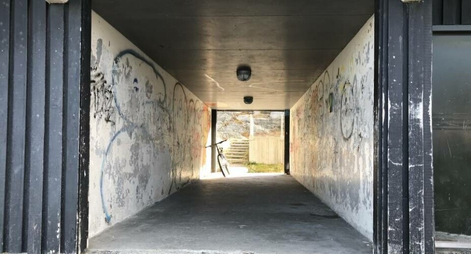 Hjemløshed bør bekæmpes på tværs af lande