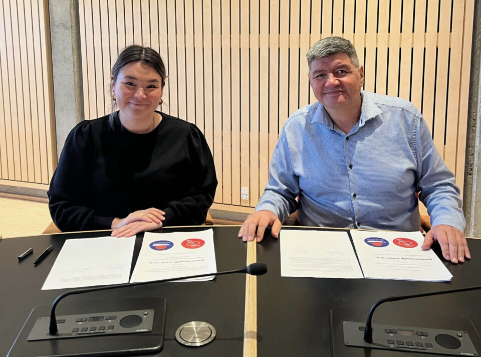 Et flertal bestående af Inuit Ataqatigiit og Demokraatit i har under et ekstraordinært kommunalbestyrelsesmøde tirsdag godkendt at oprette tre nye udvalg. Kommuneqarfik Sermersooq