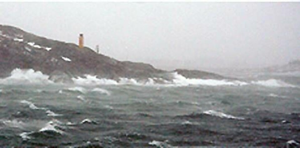De voldsomme klimaforandringer med storm, tørke, skovbrande m.v. kan give ar på sjælen. Foto: Sermitsiaq Arkiv
