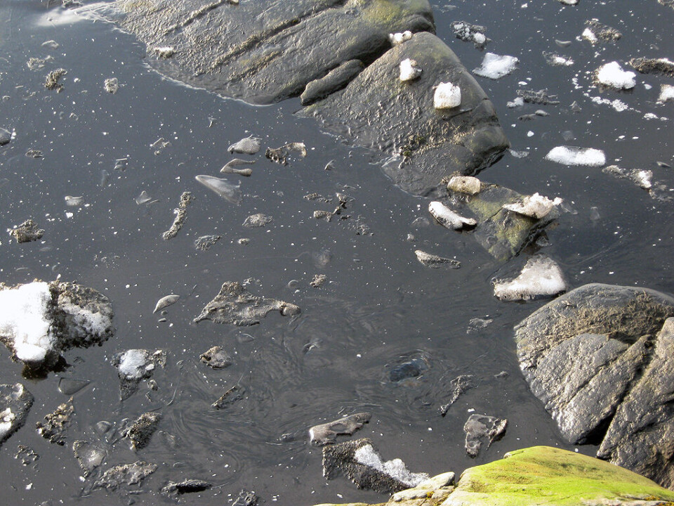 Foto: Qaasuitsup Kommunia Kysten ved Nukissiorfiit i Ilulissat er blevet forurenet af 5.000 liter spildolie. Foto: Qaasuitsup Kommunia Kysten ved Nukissiorfiit i Ilulissat er blevet forurenet af en ”ikke-ubetydelig” mængde spildolie ifølge politiet. Foto: Qaasuitsup Kommunia Foto: Qaasuitsup Kommunia Foto: Qaasuitsup Kommunia Kysten ved Nukissiorfiit i Ilulissat er blevet forurenet af 5.000 liter spildolie. Foto: Qaasuitsup Kommunia Kysten ved Nukissiorfiit i Ilulissat er blevet forurenet af en ”ikke-ubetydelig” mængde spildolie ifølge politiet. Foto: Qaasuitsup Kommunia Foto: Qaasuitsup Kommunia