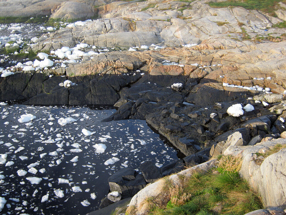 Foto: Qaasuitsup Kommunia