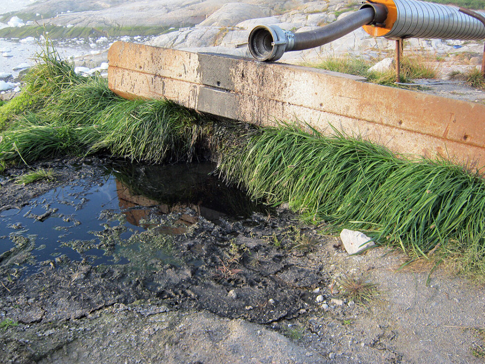Kysten ved Nukissiorfiit i Ilulissat er blevet forurenet af 5.000 liter spildolie. Foto: Qaasuitsup Kommunia