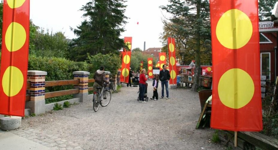 Ifølge forslaget skal den legale hash sælges fra mellem 25 og 40 udsalgssteder til en pris, der kan konkurrere med de priser, som stoffet sælges til i Pusher Street på Christiania og andre steder i hovedstaden. Arkivfoto: Chr. Schultz-Lorentzen