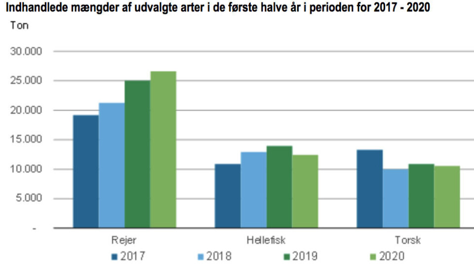 Reje-indhandlingen når nye højder