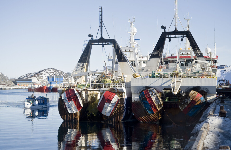 Sikuki Nuuk Harbour øger overskuddet
