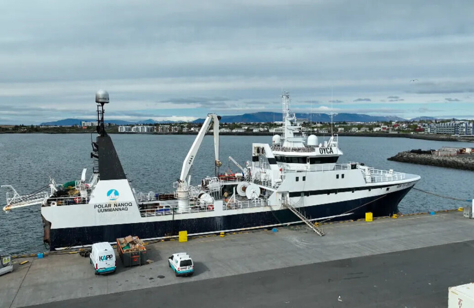 Besætningsmedlem på Polar Nanoq anholdt i Island
