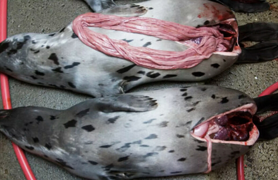 Ændrer lov på grund af klimaforandringer