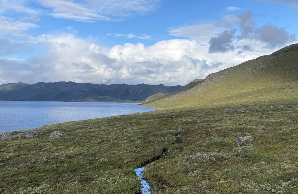 Isbjørn set på Arctic Circle Trail: Vandrere udsendte SOS