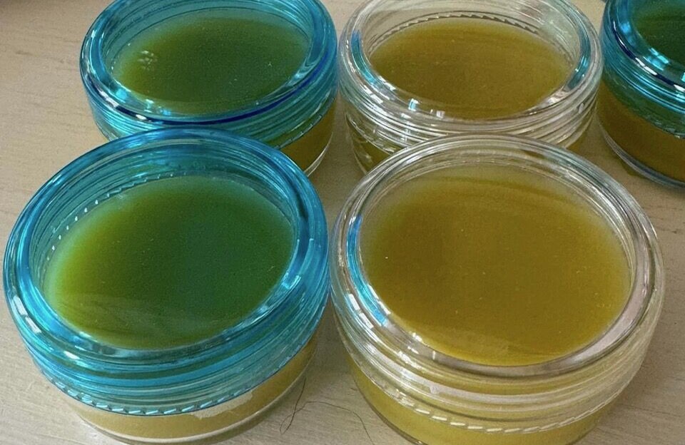 Forening drømmer om iværksætterpark: Erika Baadh vil satse på tangproduktion