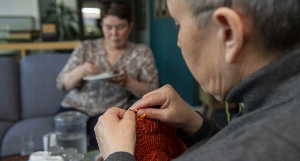 ’Ankerstrøje’ er et populært mønster, som Anne-Louise Brandt er gået i gang med. Dog har ærmeudtagningen drillet, så aftenen går med at strikke baglæns.