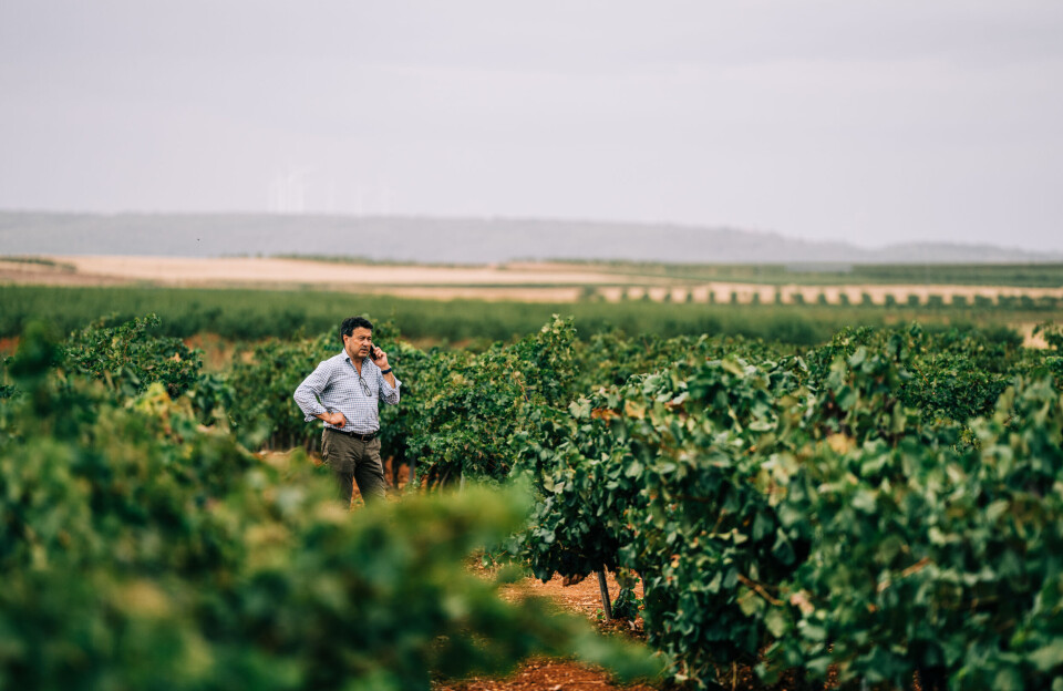 Grønlænder skaber vinsucces i Spanien